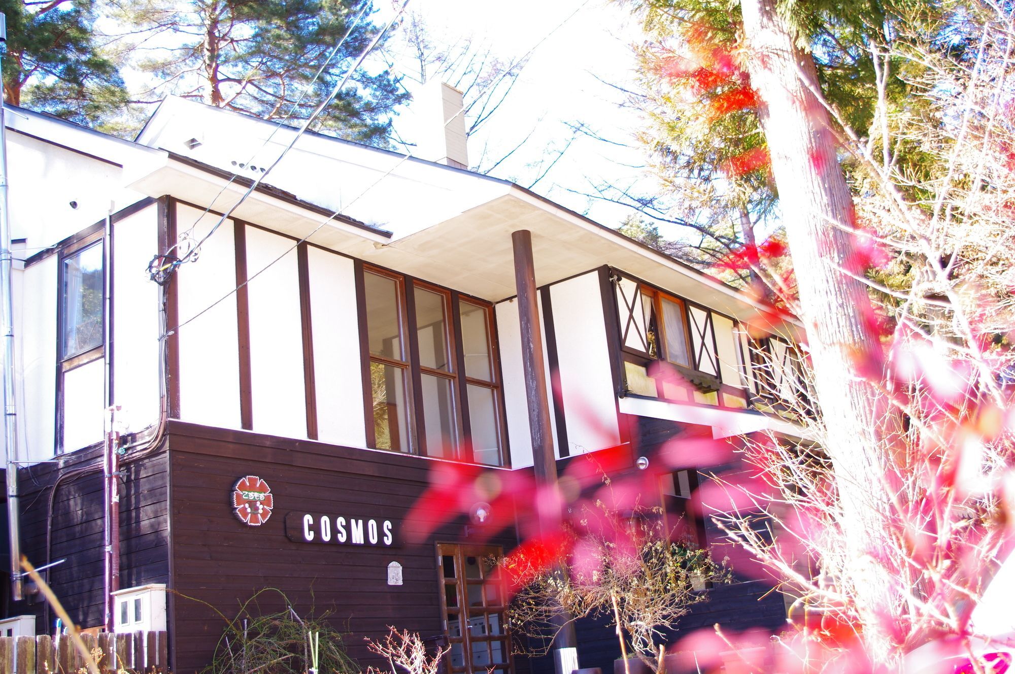Forest Resort Cosmos Fujikawaguchiko Εξωτερικό φωτογραφία